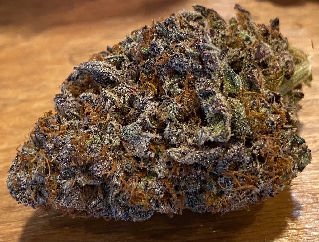 animal cookies strain cannabis photo