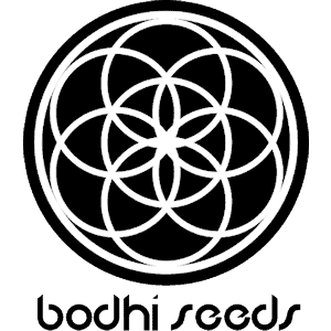 bodhi seeds cannabis logo