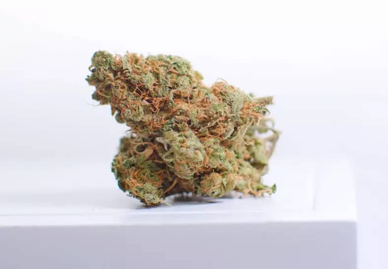 pineapple express strain cannabis photo