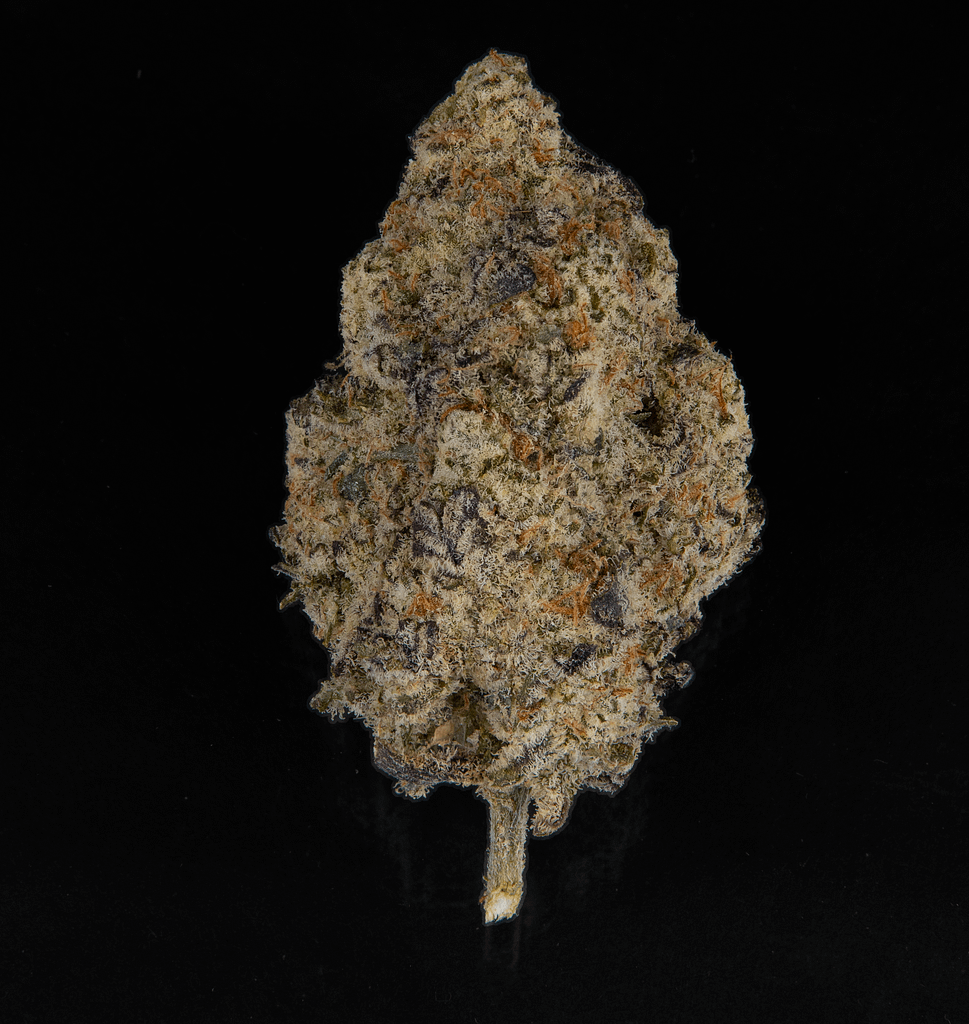 mac 1 strain cannabis photo